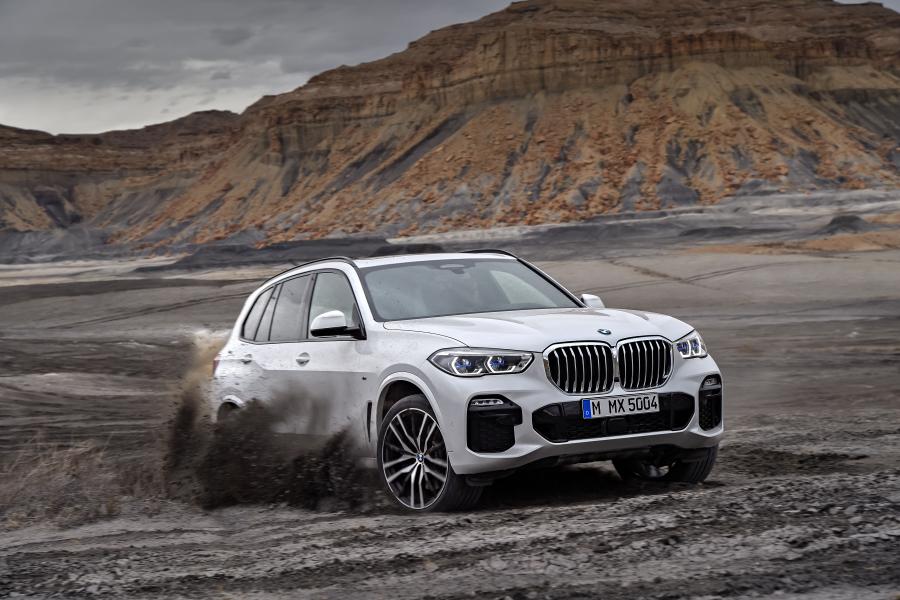 BMW X5 xDrive30d M Sport (G05) 2018 года  (WW) (фото 20 из 75)